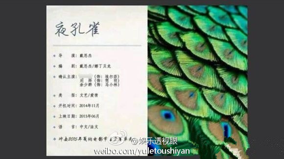 中法合拍片《夜孔雀》将开机 刘亦菲、刘烨主演(图1)