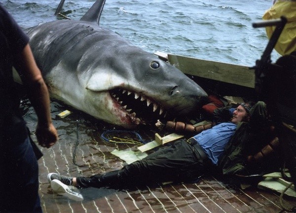 索尼将拍鲨鱼题材惊悚片 6位数价格买剧本