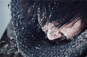 《南极绝恋》发纪念海报 实景拍摄与CG震撼结合