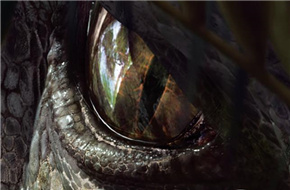 《侏罗纪世界2》暴虐霸王龙回来了？ 多部影片曝光宣传海报