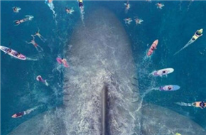 《巨齿鲨》国际版海报发布 史前怪兽闯入海滨胜地