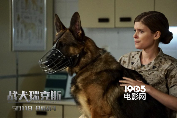 《战犬瑞克斯》将上映 美国女兵与军犬的生死情(图2)