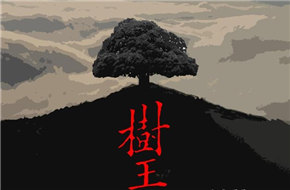 田壮壮十年来首次执导 新片将改编阿城《树王》