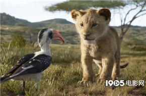 《狮子王》背后的故事 开创VR拍摄复刻非洲草原