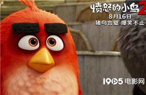 《愤怒的小鸟2》曝新预告 猪鸟同心协力欢乐尬舞