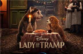 迪士尼真狗版《小姐与流浪汉》首发预告 今年11月12日首播