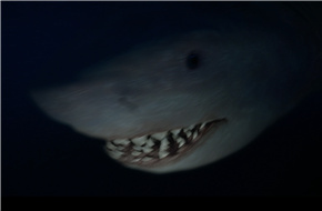 《巨齿鲨2：深渊》曝“深海7000米”版预告，杰森·斯坦森、吴京深渊徒步对抗巨齿鲨群