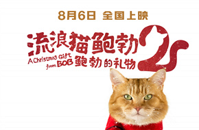 《流浪猫鲍勃2》曝上映海报，原型橘猫鲍勃银幕绝唱